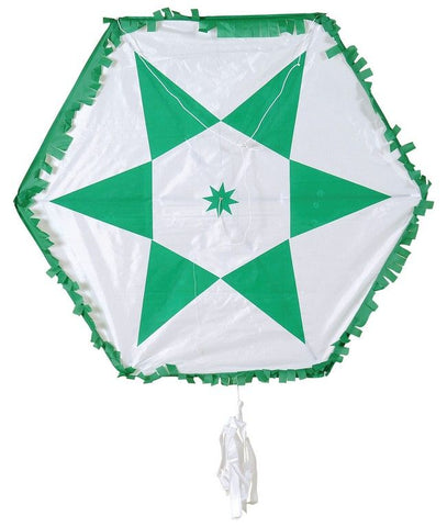 Colorful Star Eagle with Scales and Tail Waterproof 100cm (L100A)