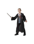 Amscan Harry Potter Tevennos costume